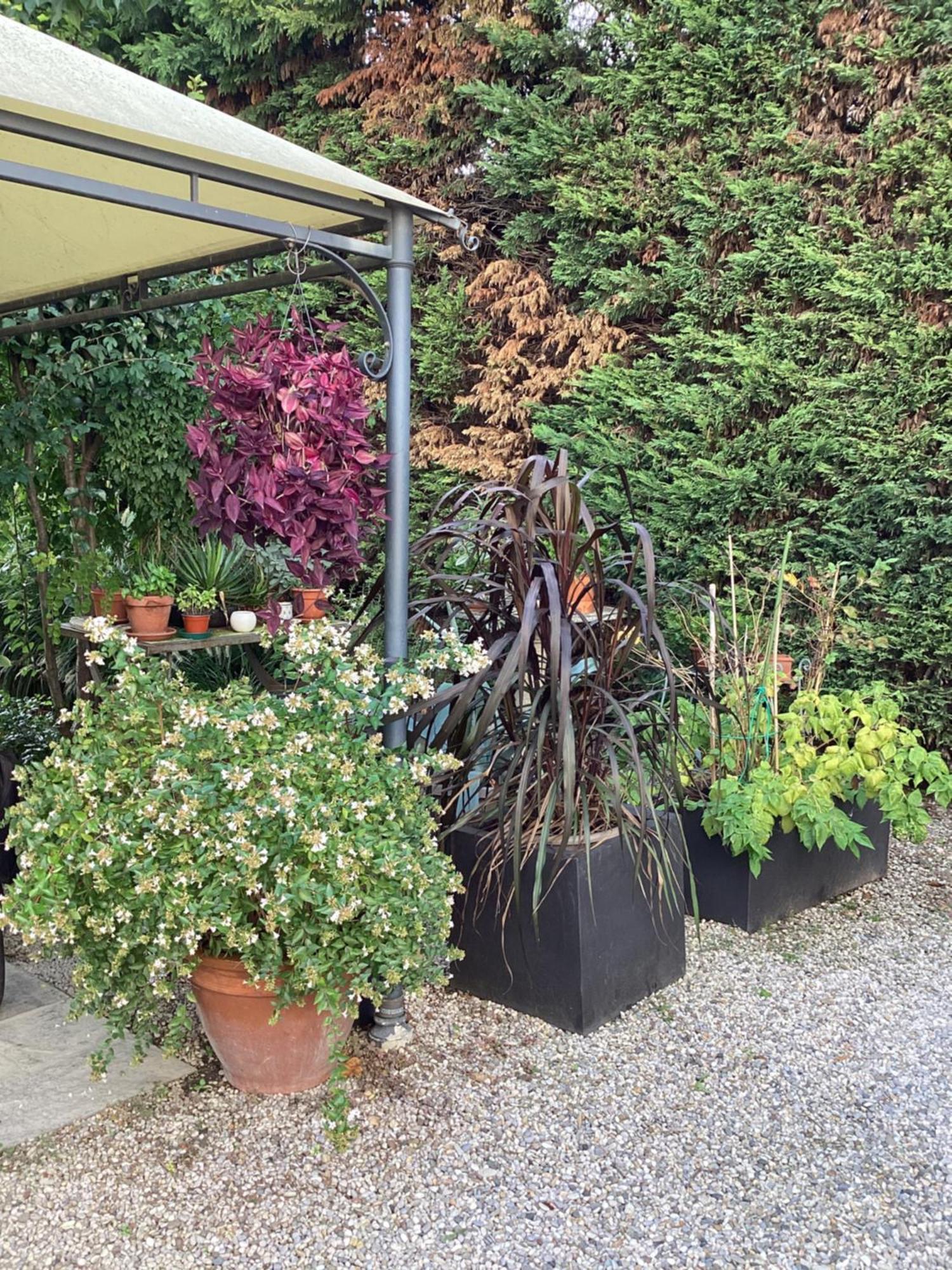Il Villino Della Duchessa Bed & Breakfast Parma Dış mekan fotoğraf